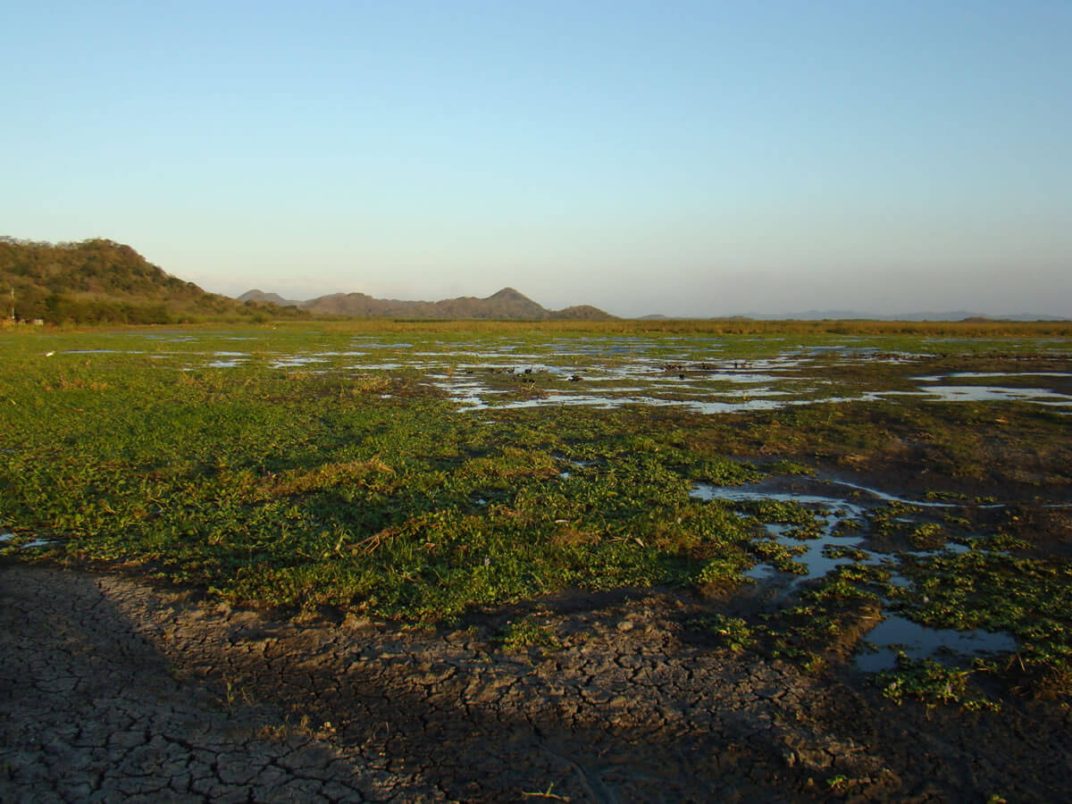 Palo Verde National Park Costa Rica's Biodiversity Haven LAC Geo